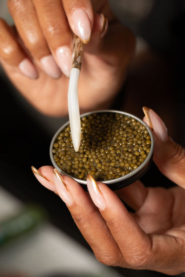 Osetra vs. Kaluga vs. Hackleback: Which Caviar Is Right for You?