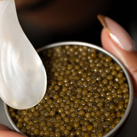 Caviar in a small metal tin with a spoon being used to scoop out a caviar bump.