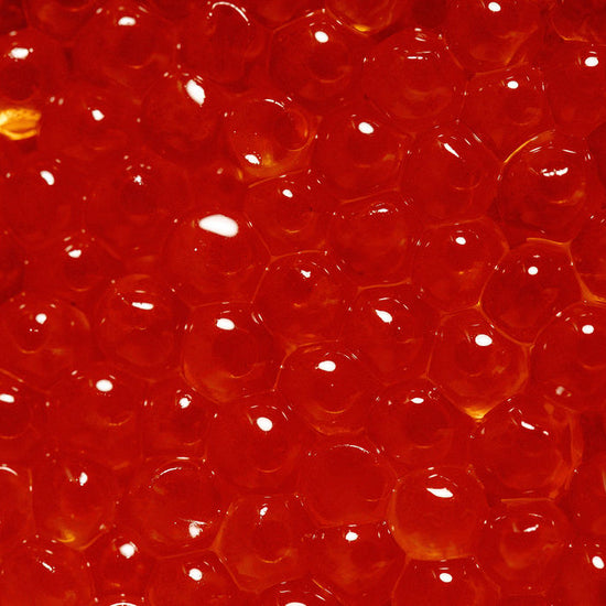 Close-up of orangey-red trout roe