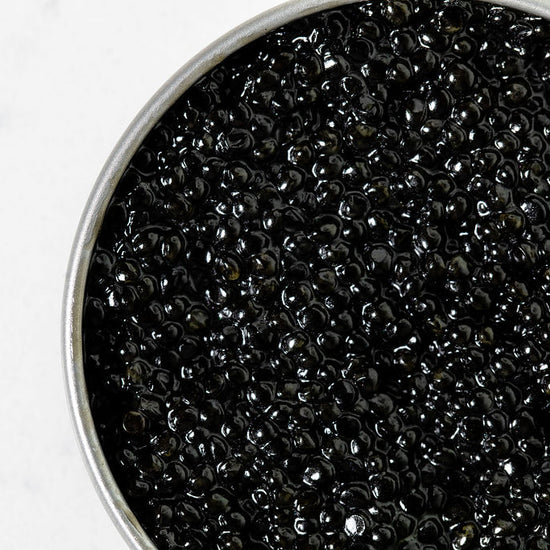 Close-up of black caviar in a metal container on a white background