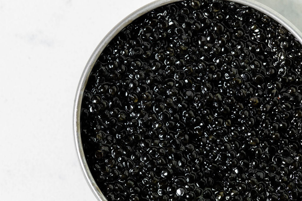 Close-up of black caviar in a metal container on a white background