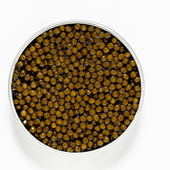 Kaluga Hybrid Caviar in a round tin container on a white background