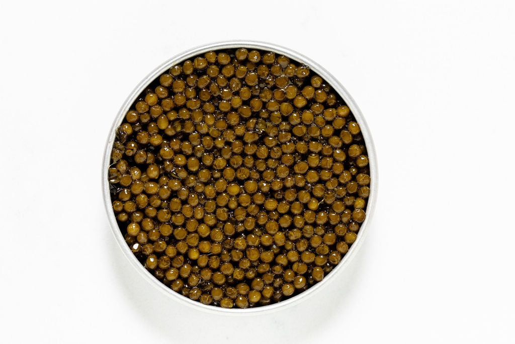 Kaluga Hybrid Caviar in a round tin container on a white background