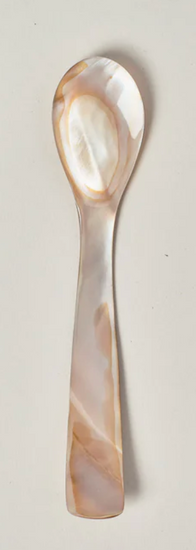 Spoon with a decorative shell handle on a light gray background