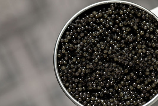 American Paddlefish | Limited Edition