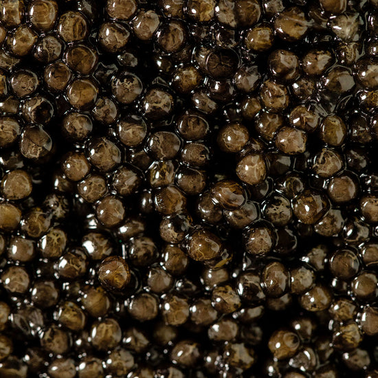 Close-up of dark brown caviar 