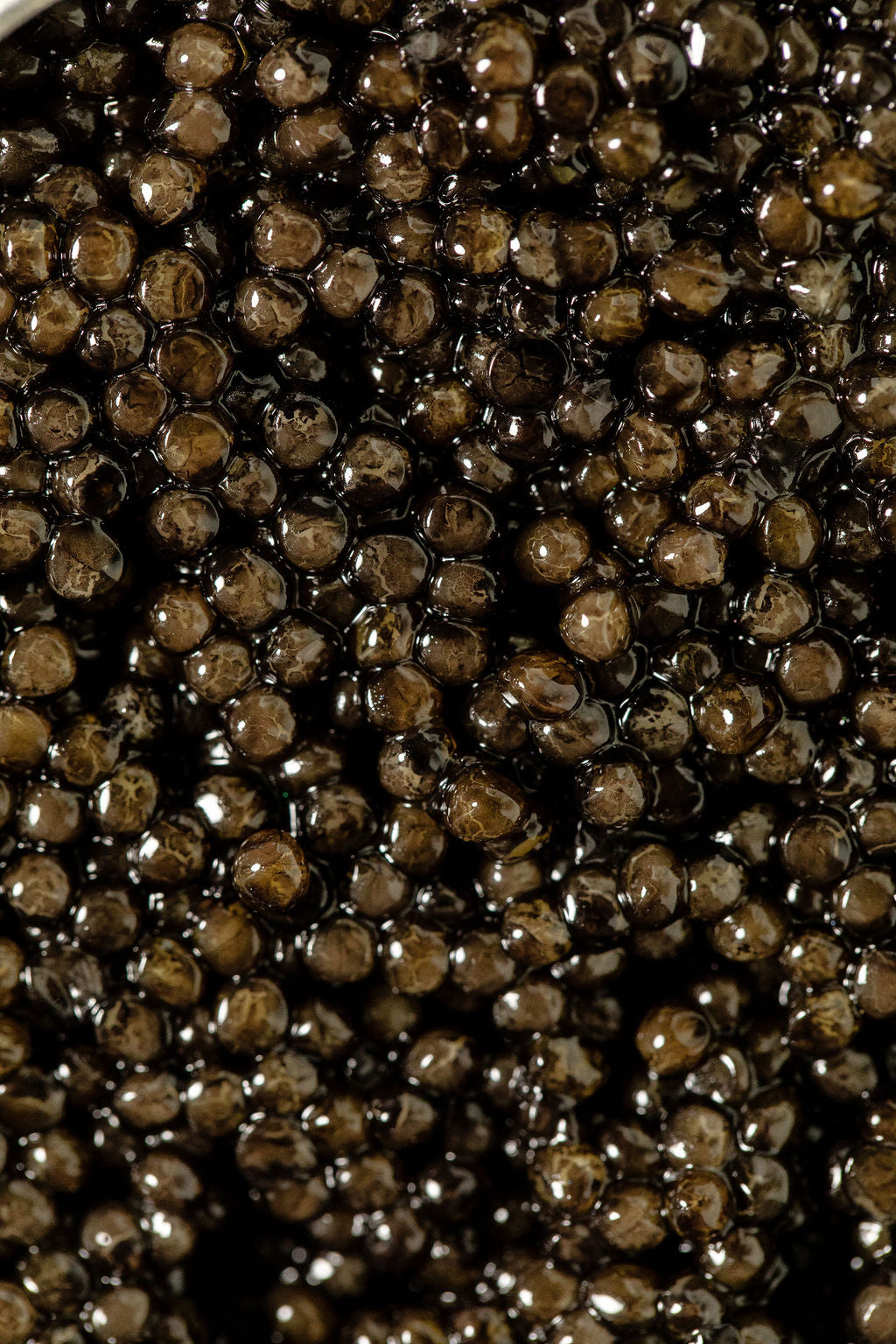 Close-up of dark brown caviar 