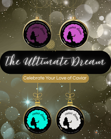 The Ultimate Dream Party Kit {8-12}
